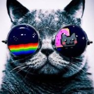 Кот Музыкальный