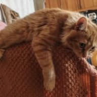 Логан Пол 329589