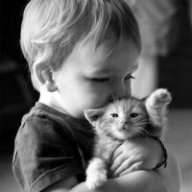 Костик Стайвер