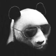 Panda a 128450
